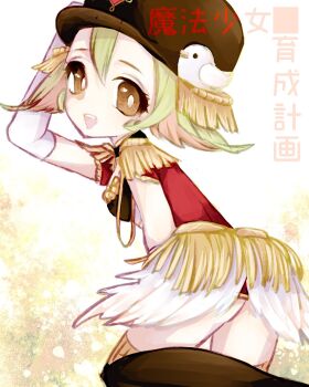 Bird Ornament Rule 34 Image