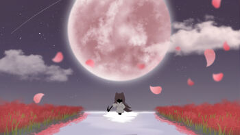 Star (Sky) Rule 34 Image