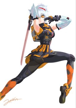 Soldier 11 (Zenless Zone Zero) Rule 34 Image