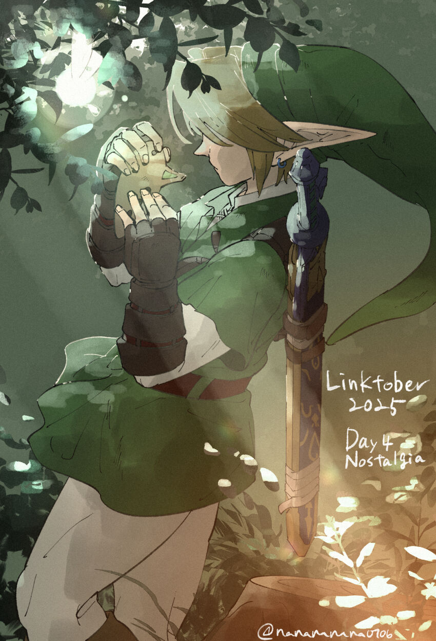 Link (Nintendo) Rule 34 Image