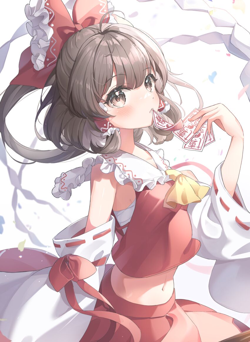 Hakurei Reimu (Touhou) Rule 34 Image