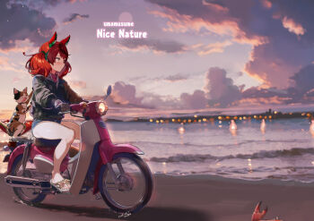 Nice Nature (Umamusume) Rule 34 Image