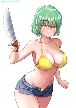 Hikage (Senran Kagura) Rule 34 Image