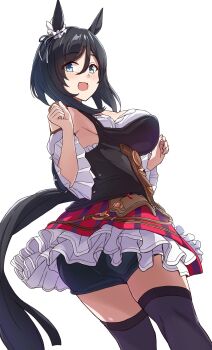 Eishin Flash (Meisterschaft) (Umamusume) Rule 34 Image