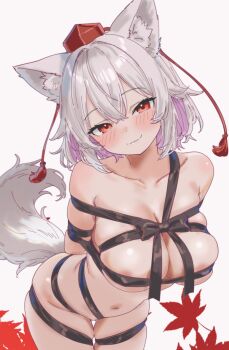 Animal Ear Fluff Rule 34 Image