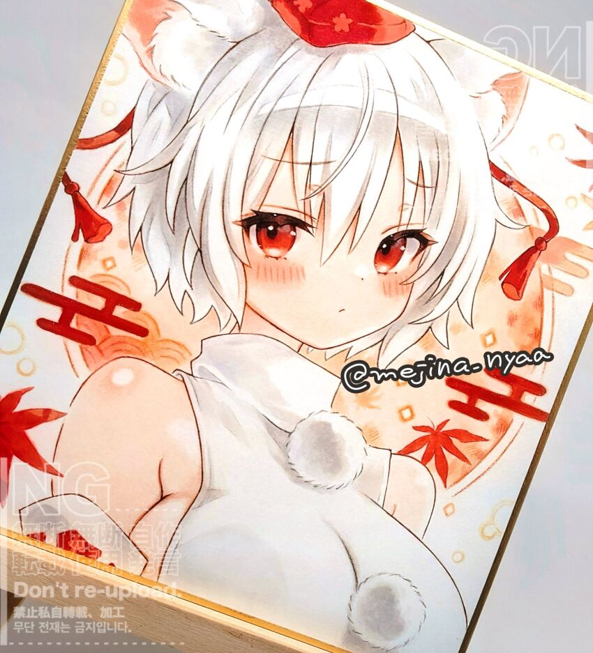 Inubashiri Momiji (Touhou) Rule 34 Image