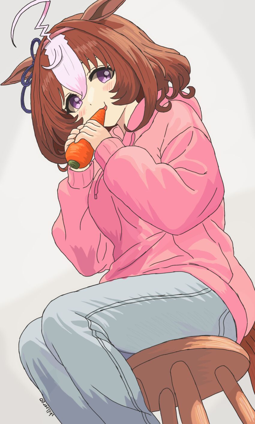 Meisho Doto (Umamusume) Rule 34 Image