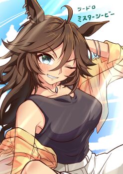 Mr. C.B. (Umamusume) Rule 34 Image