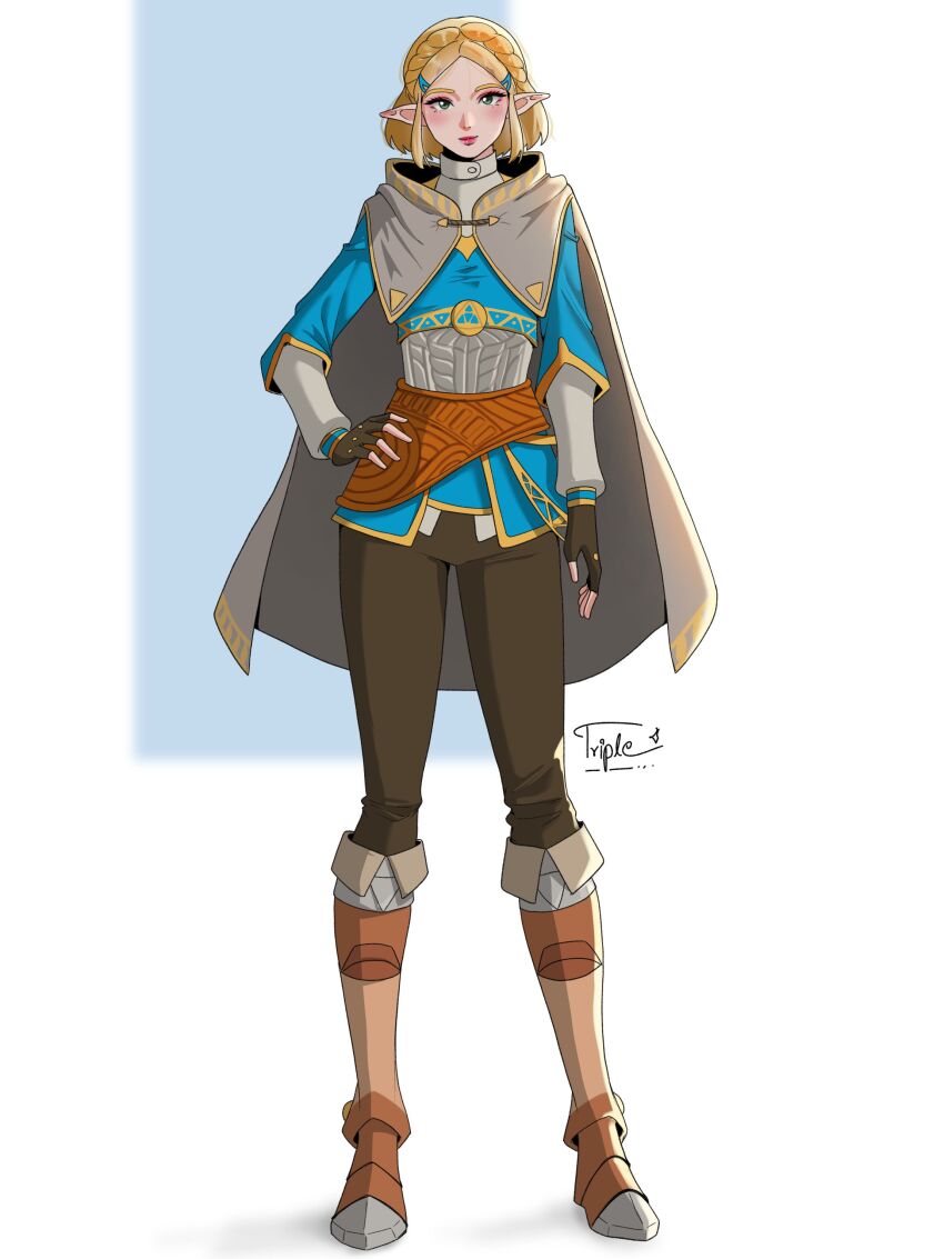 Princess Zelda (Nintendo) Rule 34 Image