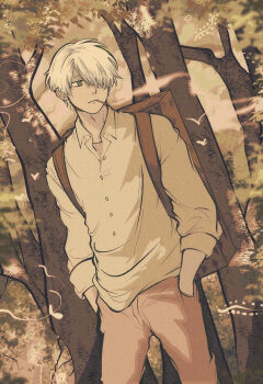 Ginko (Mushishi) Rule 34 Image