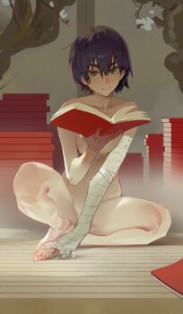 Monogatari (Series) Rule 34 Image