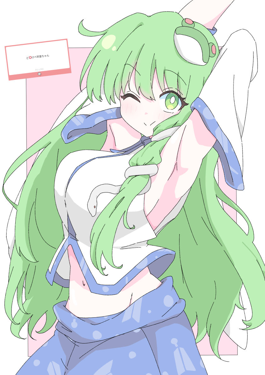 Kochiya Sanae (Touhou) Rule 34 Image