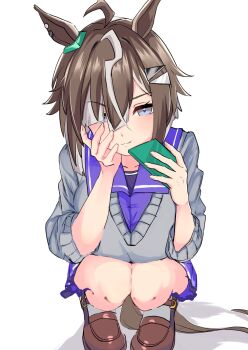 Rulership (Umamusume) Rule 34 Image