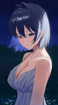 Alternate Costume Rule 34 Image
