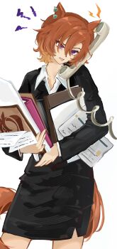 T.M. Opera O (Umamusume) Rule 34 Image