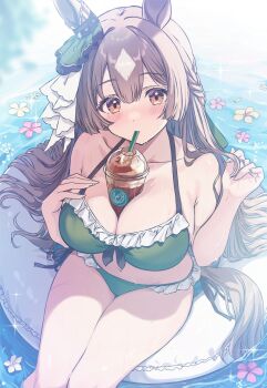 Cutlass (Classic Chocolate) Rule 34 Image