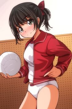 Volleyball (Object) Rule 34 Image
