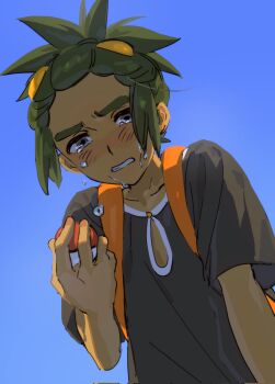 Hau (Pokemon) Rule 34 Image