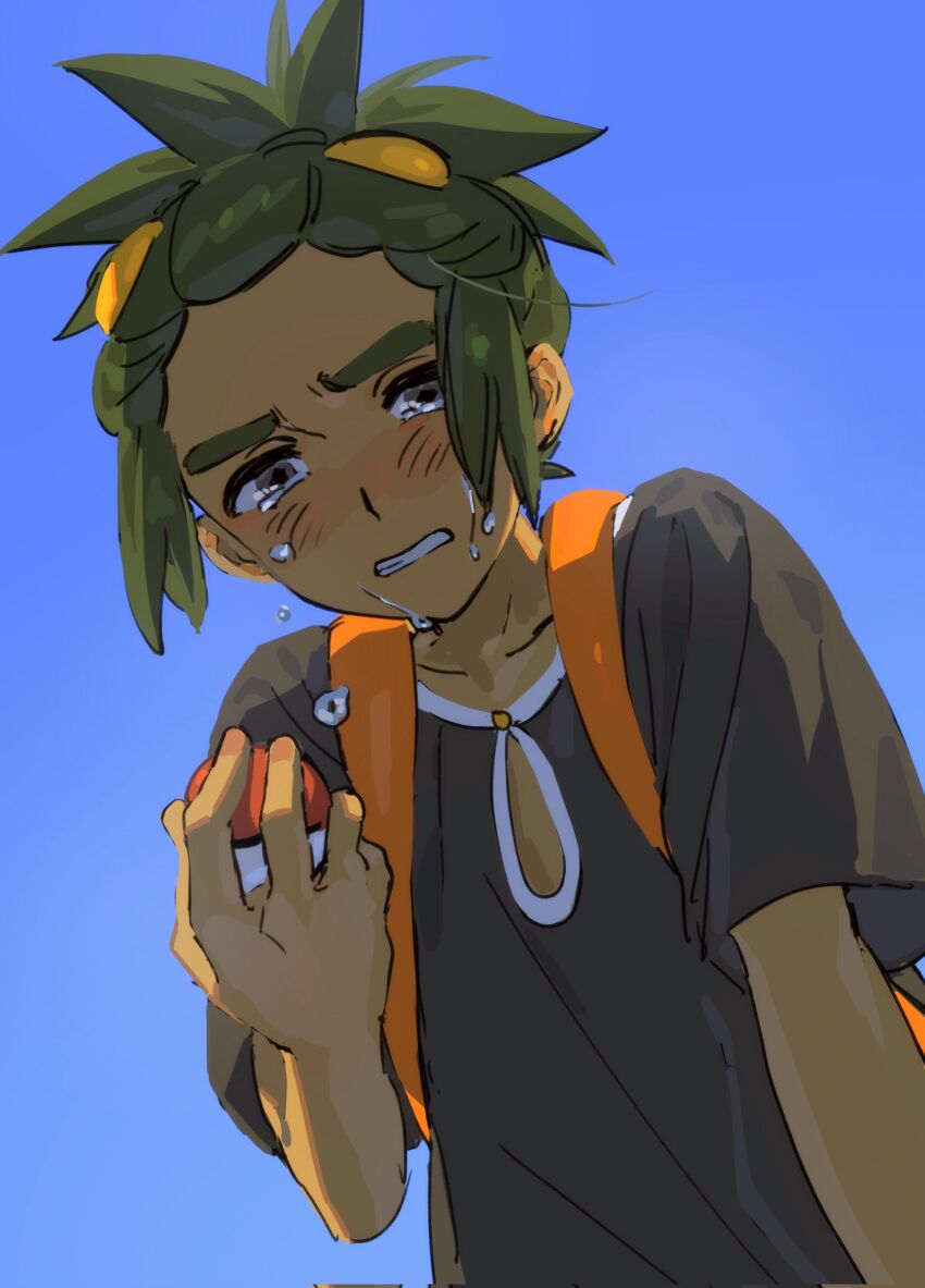 Hau (Pokemon) Rule 34 Image