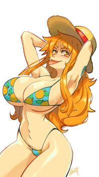 Nami (One Piece) Rule 34 Image
