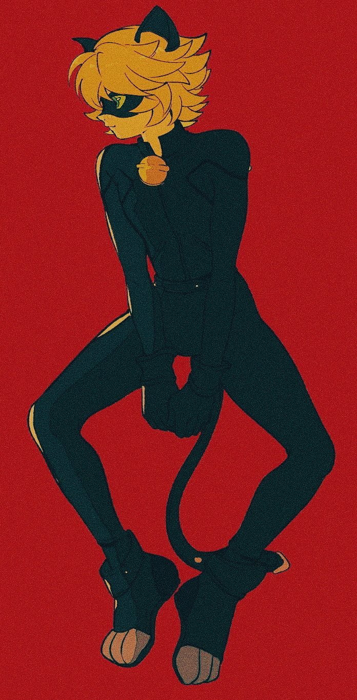 Chat Noir (Miraculous Ladybug) Rule 34 Image