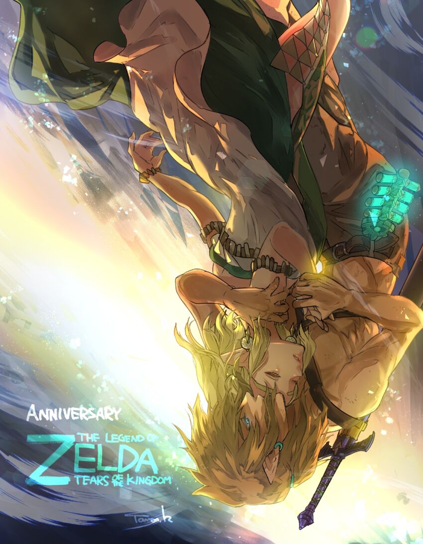 Link (Nintendo) Rule 34 Image