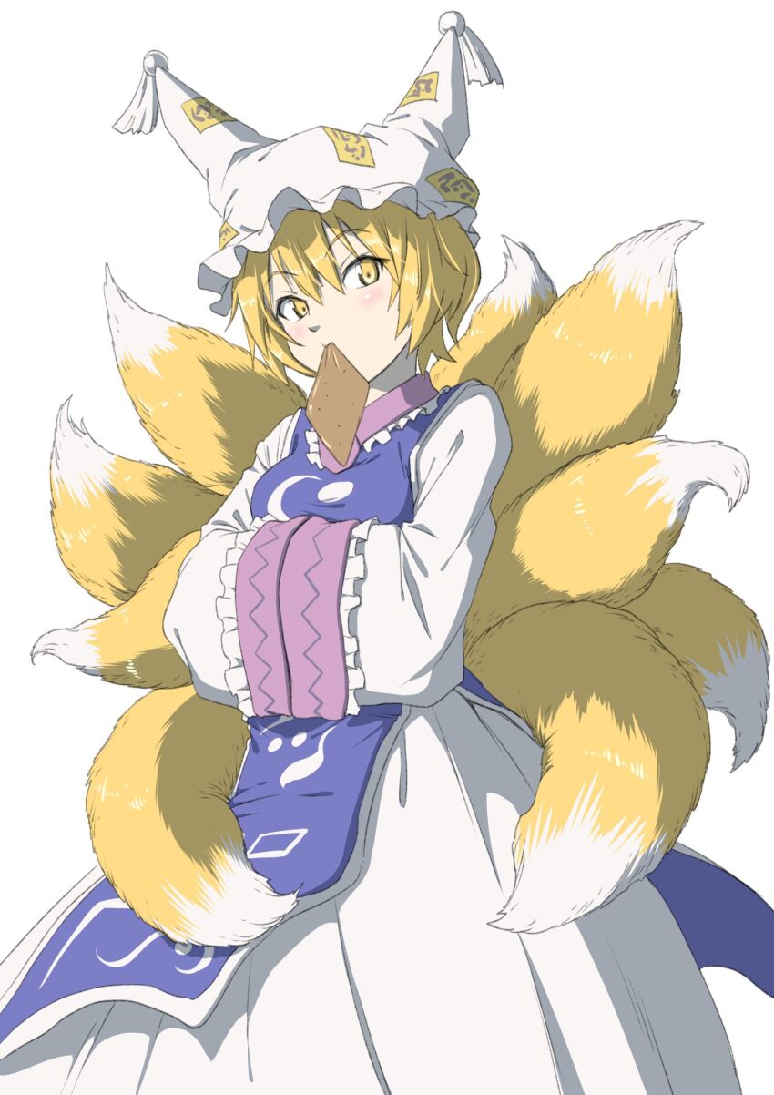 Yakumo Ran (Touhou) Rule 34 Image