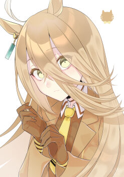 Manhattan Cafe (Creeping Shadow) (Umamusume) Rule 34 Image