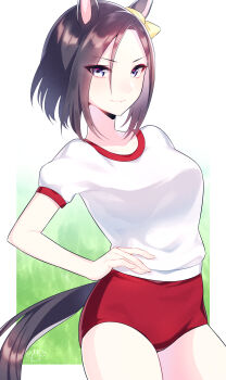 Air Groove (Umamusume) Rule 34 Image
