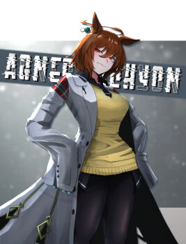 Agnes Tachyon (Tach-Nology) (Umamusume) Rule 34 Image