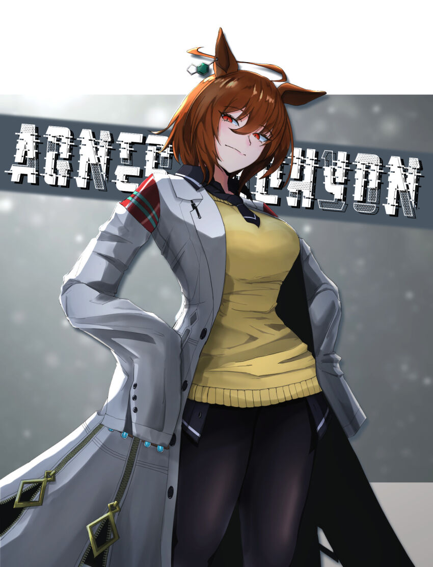 Agnes Tachyon (Tach-Nology) (Umamusume) Rule 34 Image