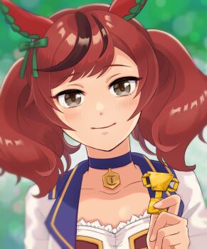 Nice Nature (Umamusume) Rule 34 Image