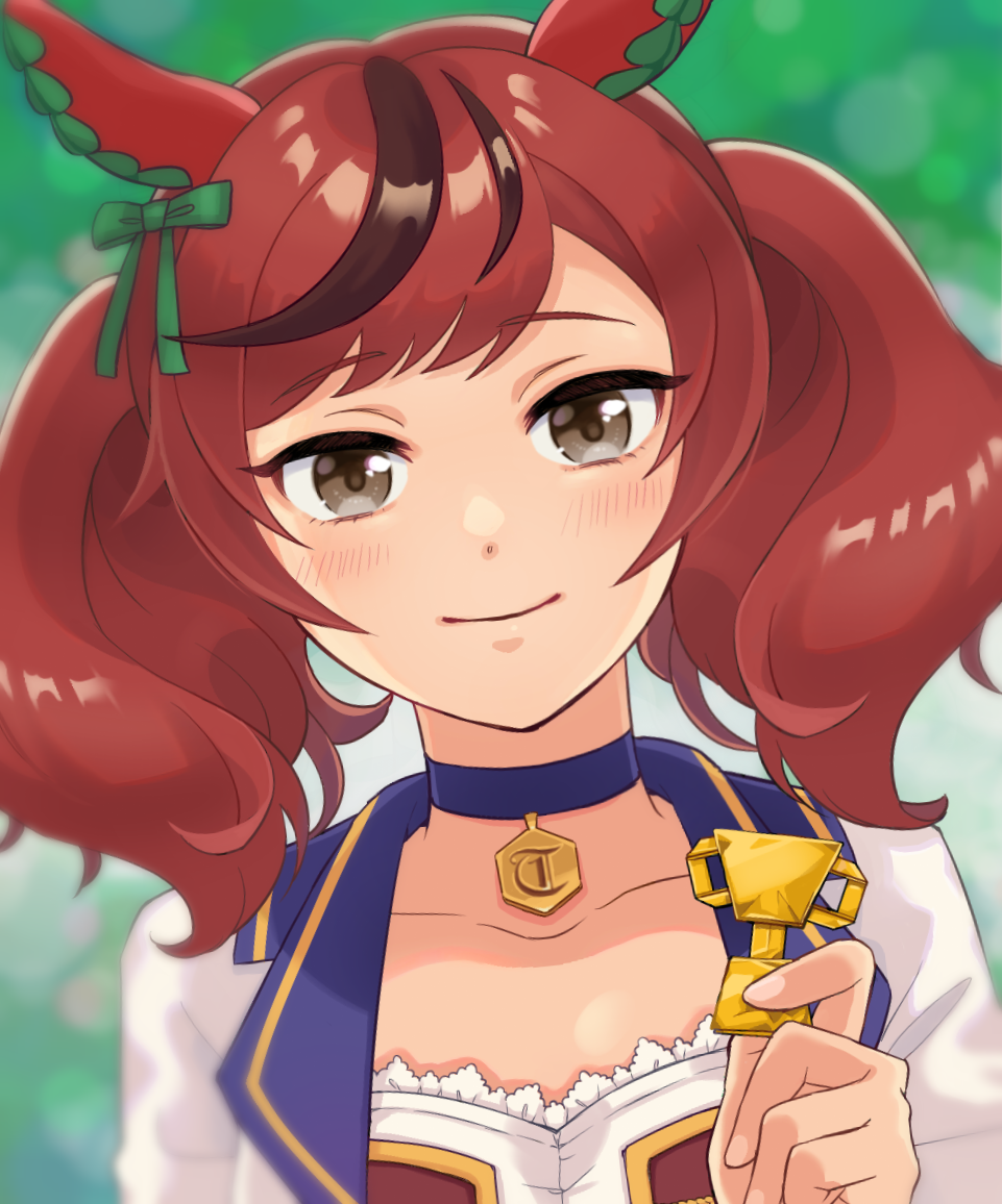 Nice Nature (Umamusume) Rule 34 Image