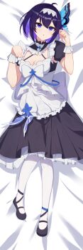Honkai (Series) Rule 34 Image