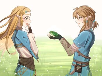 Champion'S Tunic (Zelda) Rule 34 Image