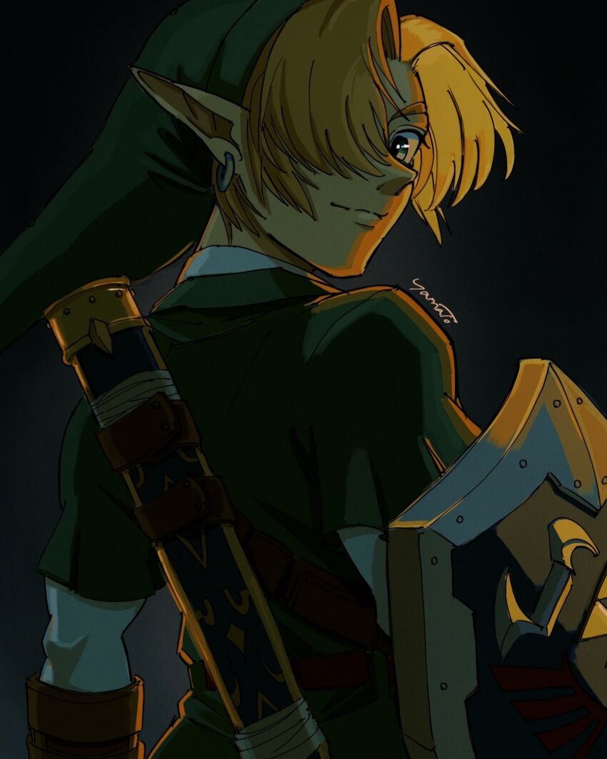 Link (Nintendo) Rule 34 Image
