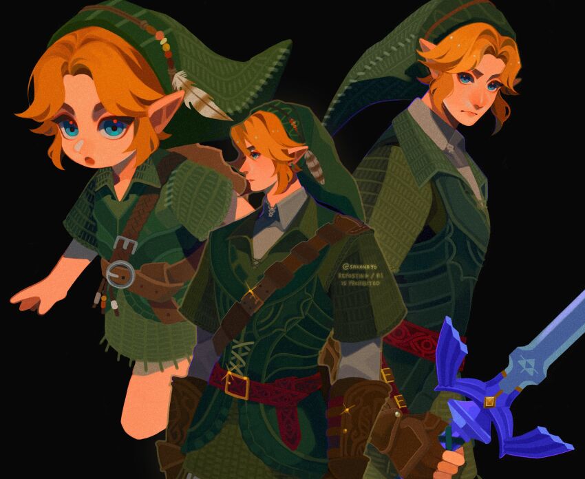 Link (Nintendo) Rule 34 Image