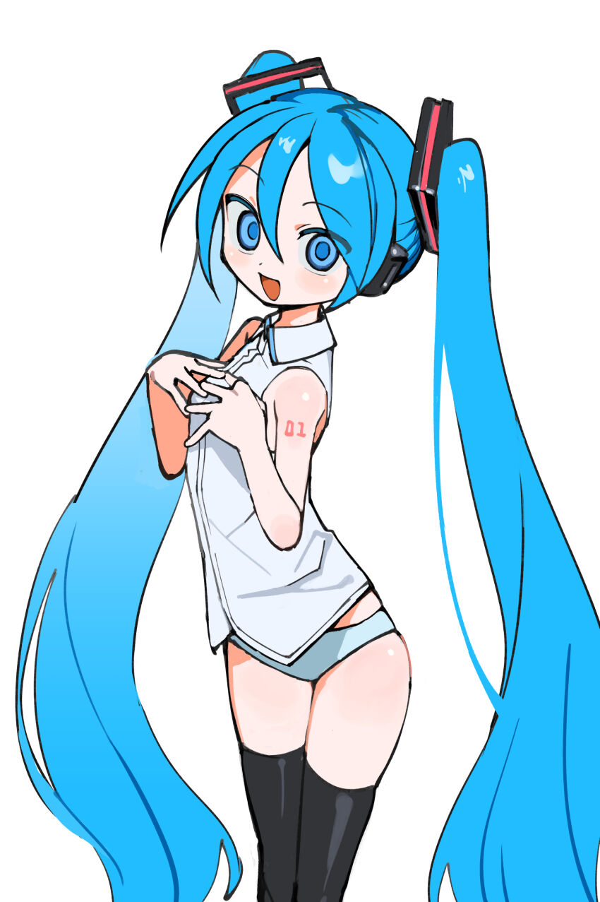 Hatsune Miku (Vocaloid) Rule 34 Image