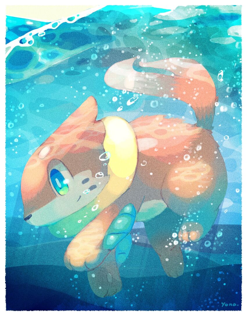 Buizel (Nintendo) Rule 34 Image