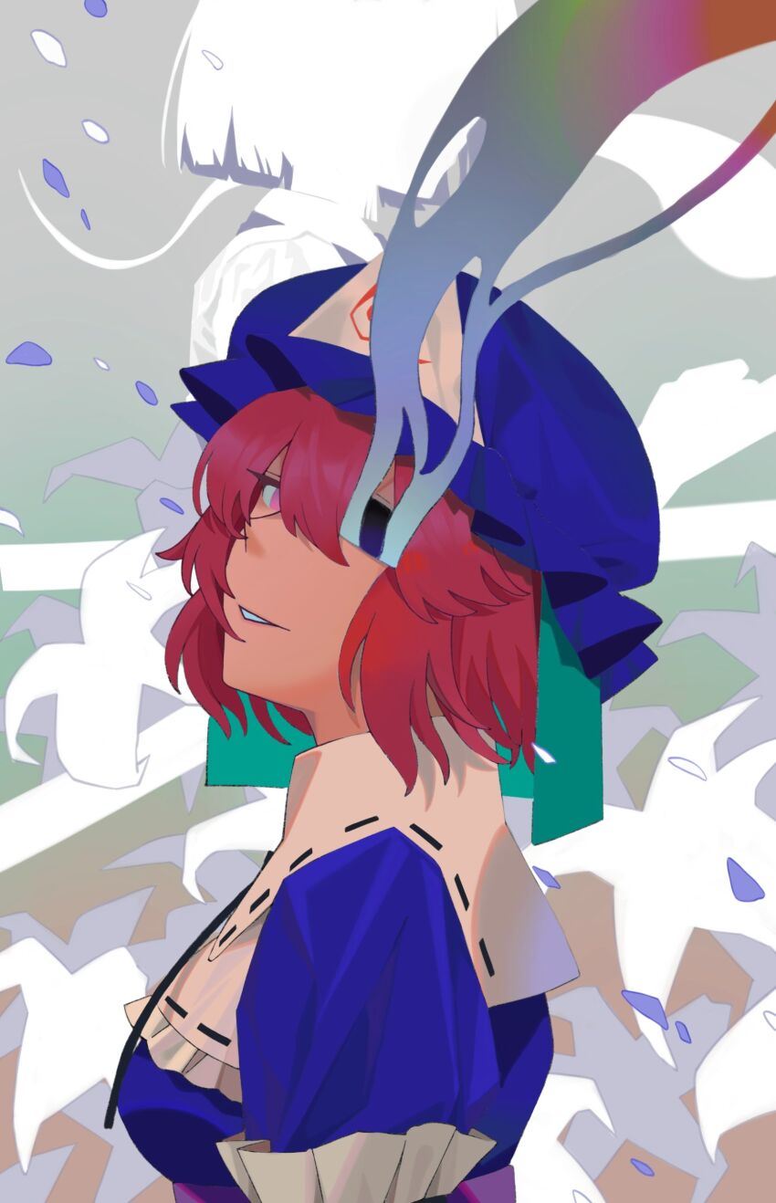 Saigyouji Yuyuko (Touhou) Rule 34 Image