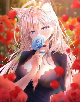 Shiroko Terror (Blue Archive) Rule 34 Image