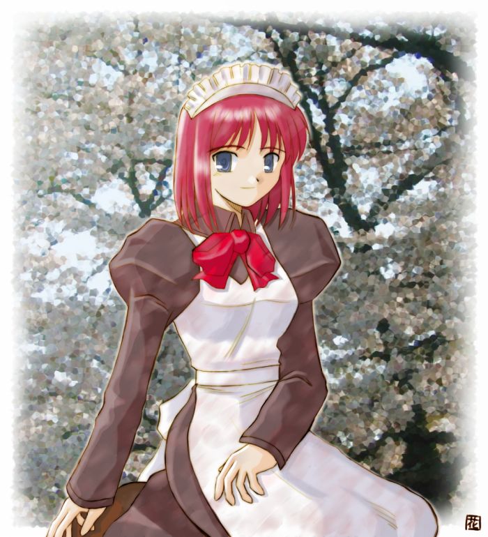 Hisui (Tsukihime) Rule 34 Image