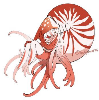 Nautilus (Animal) Rule 34 Image