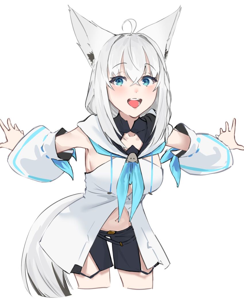 Shirakami Fubuki (Hololive) Rule 34 Image