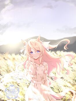 Victoire Pisa (Umamusume) Rule 34 Image