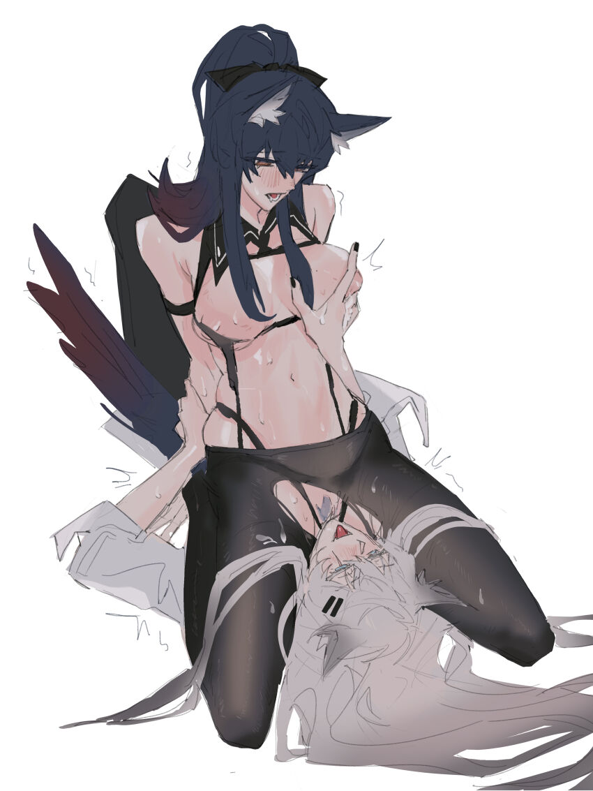 Lappland (Arknights) Rule 34 Image