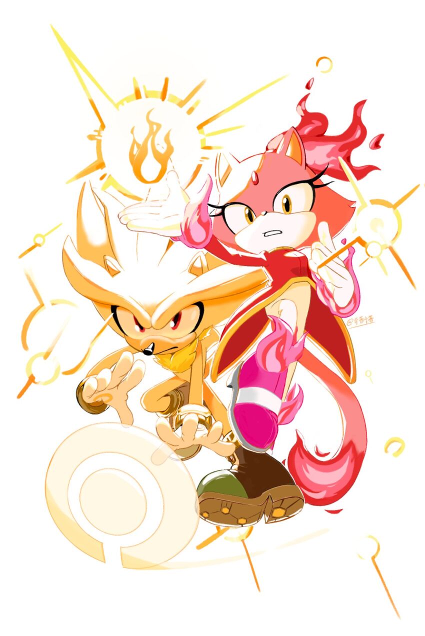 Blaze The Cat (Sonic (Series)) Rule 34 Image
