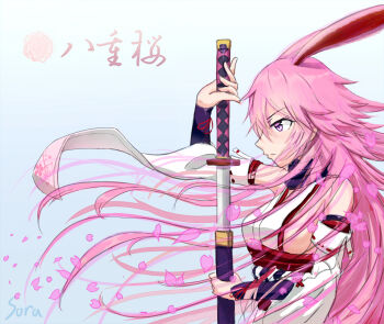 Honkai (Series) Rule 34 Image