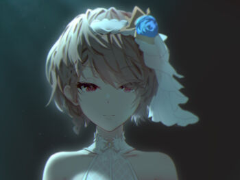 Honkai (Series) Rule 34 Image