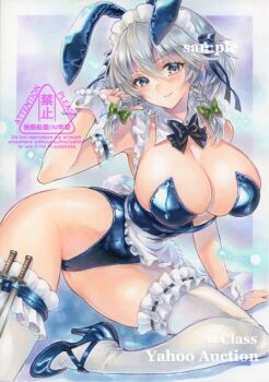 Alternate Costume Rule 34 Image